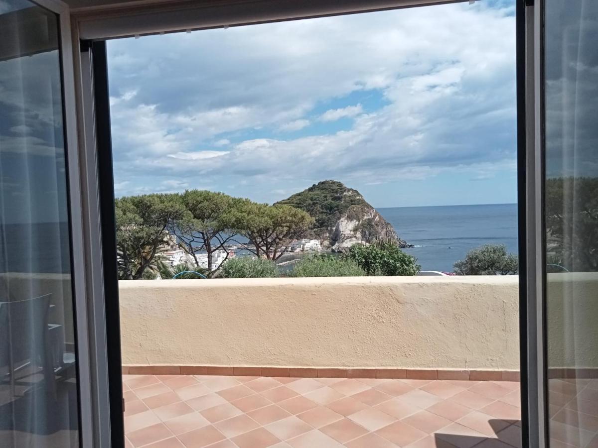 Parco Termale Tropical Bed & Breakfast Ischia Island Exterior foto