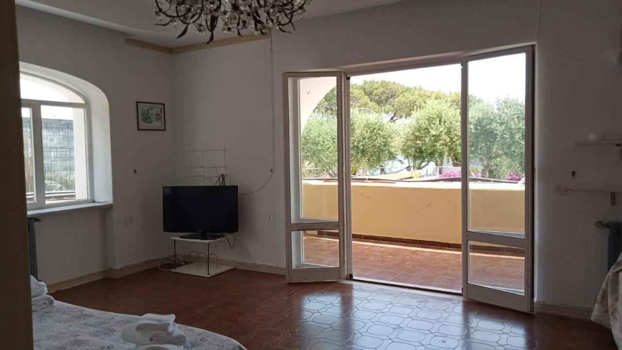 Parco Termale Tropical Bed & Breakfast Ischia Island Exterior foto